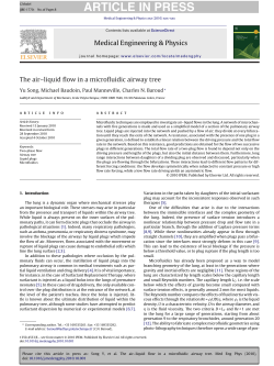 The air&acirc;&euro;&ldquo;liquid flow in a microfluidic airway tree