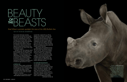 Beauty of the Beasts
