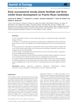 Early successional woody plants facilitate and ferns inhibit forest