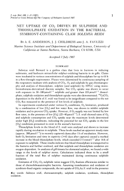 net uptake of co2 driven by sulphide and thiosulphate oxidation in
