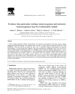 Evidence that participate methane monooxygenase and ammonia