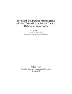 The Effect of Simulated Anthropogenic Nitrogen Deposition on the