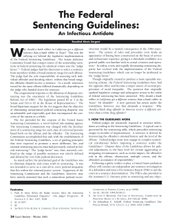 The Federal Sentencing Guidelines