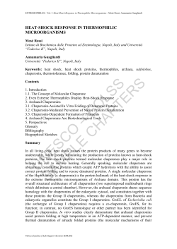 Heat-Shock Response in Thermophilic Microorganisms