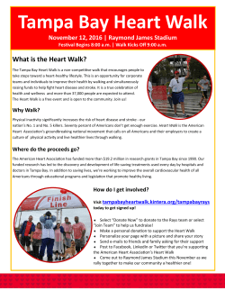 Tampa Bay Heart Walk