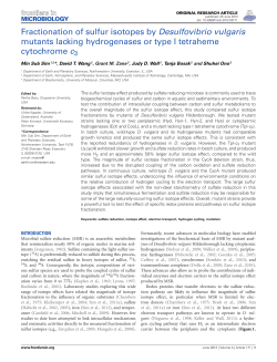 Fractionation of sulfur isotopes by Desulfovibrio vulgaris mutants