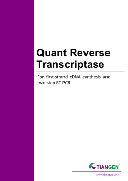 Quant Reverse Transcriptase