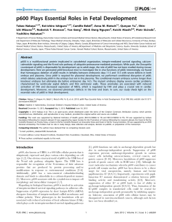 p600 Plays Essential Roles in Fetal Development