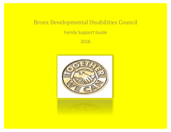 Bronx Family Support Guide