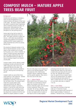 COMPOST MULCH &ndash; MATURE APPLE TREES BEAR FRUIT