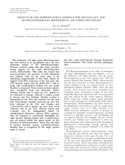 Molecular and morphological evidence for Sheathia gen. nov