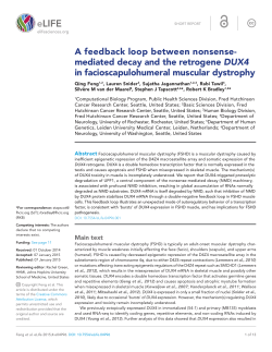 A feedback loop between nonsense