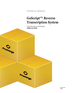 GoScript Reverse Transcription System Technical