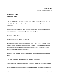 READ MORE - bioStories