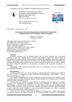 Estimation of the Functional Renal Condition by Glomerular
