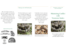 Minimizing Conflict with Venomous Snakes