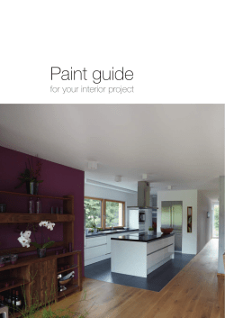 Paint guide