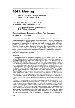Light-Absorption and Transduction in Higher