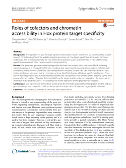 Roles of cofactors and chromatin accessibility in Hox protein target