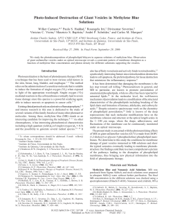 Photo-Induced Destruction of Giant Vesicles in Methylene Blue