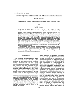 Growth, Degrowth, and Irreversible Cell Differentiation in Aurelia
