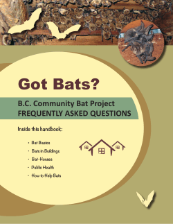 Got Bats? - Alberta Community Bat Program