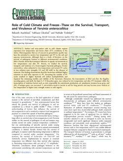 Role of Cold Climate and Freeze&ndash;Thaw on the Survival, Transport