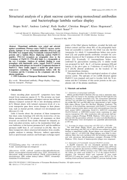 Structural analysis of a plant sucrose carrier using monoclonal