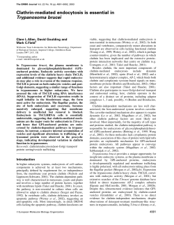 Clathrin-mediated endocytosis is essential in Trypanosoma brucei