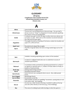 CKC Glossary of Terms - Canadian Professional Pet Stylists