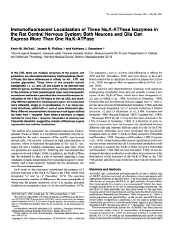 lmmunofluorescent Localization of Three Na,K