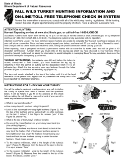 Fall Turkey Hunting Info And Check In System