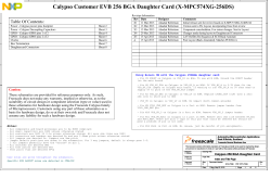 Calypso Customer EVB 256 BGA Daughter Card (X