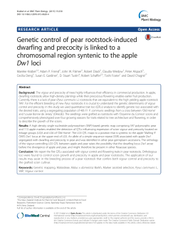 Genetic control of pear rootstock-induced dwarfing and precocity is