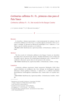 Cortinarius callisteus Fr. - Aranzadi | Zientzia Elkartea