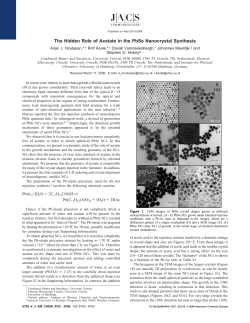 The Hidden Role of Acetate in the PbSe Nanocrystal Synthesis