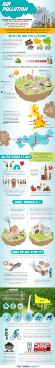 Air Pollution infographic