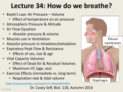 Lecture 34: How do we breathe?