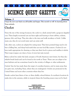SCIENCE QUEST GAZETTE