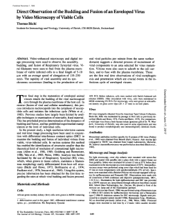 Direct Observation of the Budding and Fusion of an Enveloped Virus