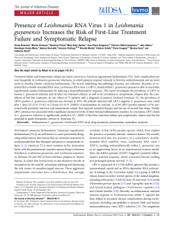 Presence of Leishmania RNA Virus 1 in Leishmania guyanensis