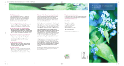 A brief guide to writing letters of sympathy