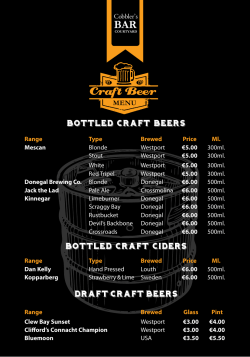 Craft Beer - Wyatt Hotel
