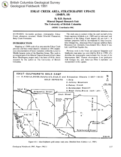 Eskay Creek Area, Stratigraphy Update