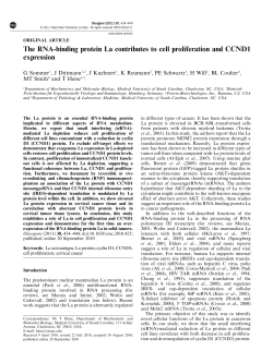 The RNA-binding protein La contributes to cell proliferation