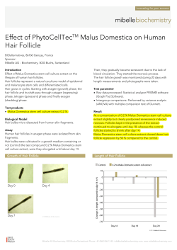 Effect of PhytoCellTecTM Malus Domestica on Human Hair Follicle