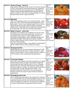 Beefsteak Amana Orange Heirloom Beefsteak Black Crimson