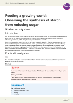 Feeding a growing world: Observing the synthesis of starch from