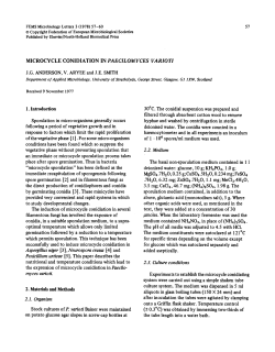 Microcycle conidiation in Paecilomyces varioti
