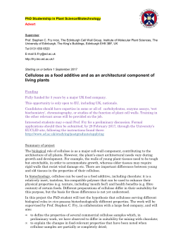 Cellulose-chocolate PhD project advert